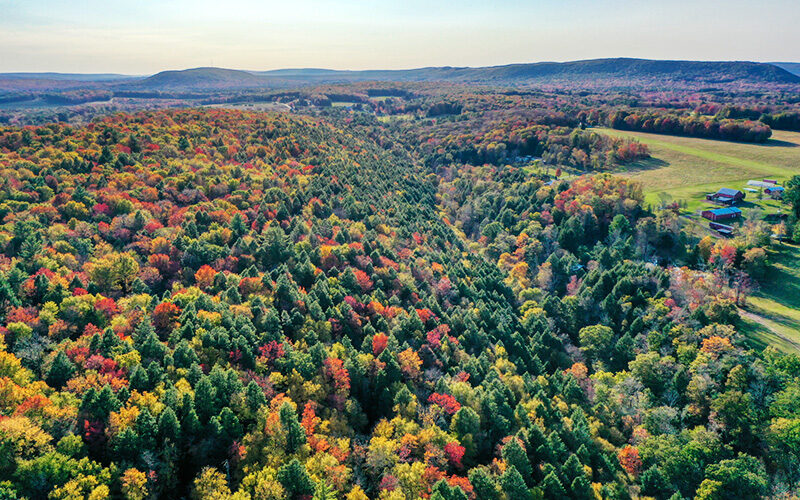 Our lodges in the Poconos put you smack dab in the middle of glorious nature.