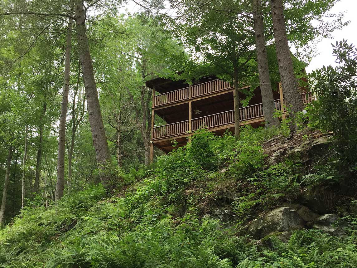 When you stay at Fern Cabin, you are deeply nestled in nature.