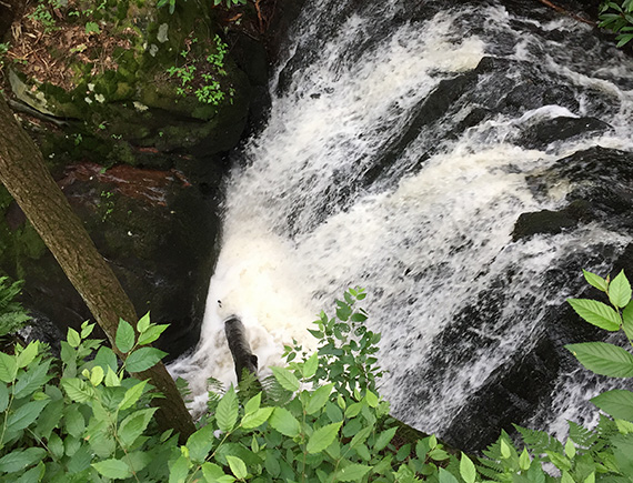 There is even a waterfall on the property.